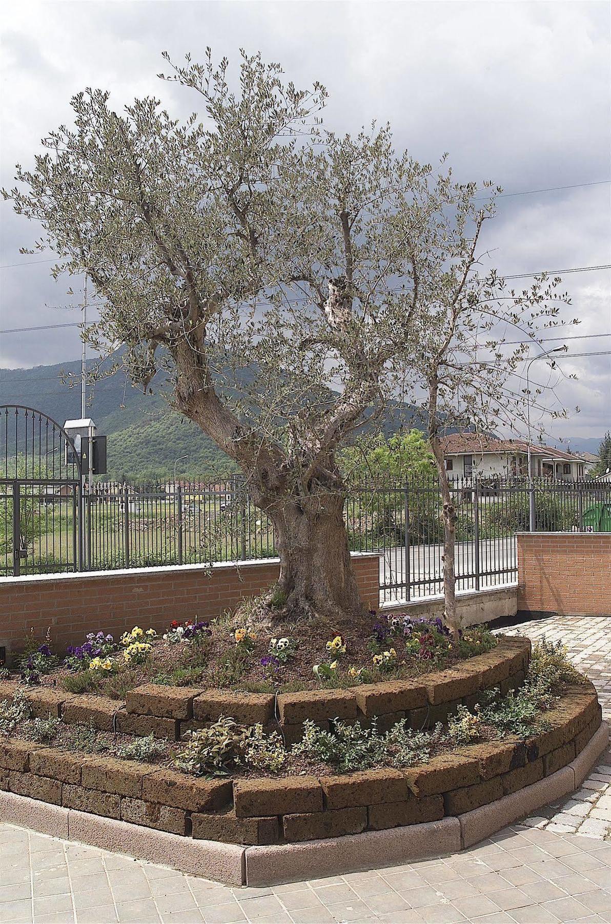 San Giorgio 3* Sangano